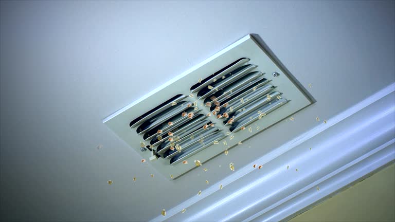 Best Duct Cleaning for Homes  in Macon, GA