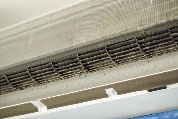 Best HVAC Air Duct Cleaning  in Macon, GA